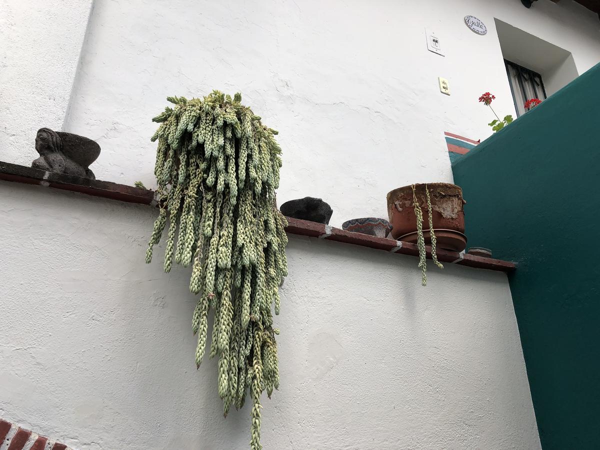 דירות Oaxaca Meson Del Penasco מראה חיצוני תמונה
